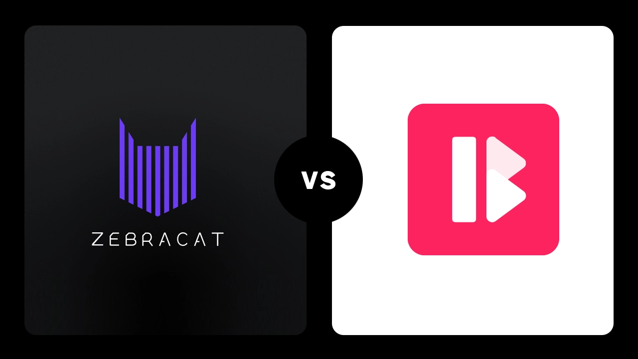 Zebracat vs Blog To Video