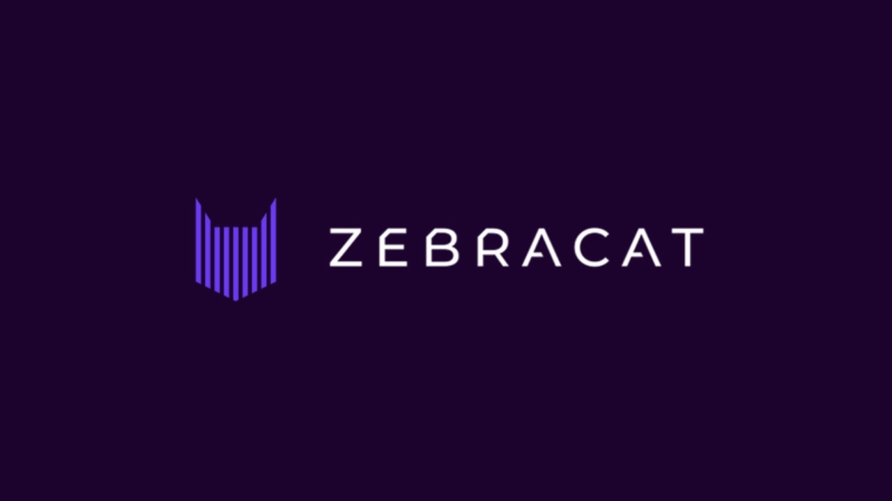 Zebracat